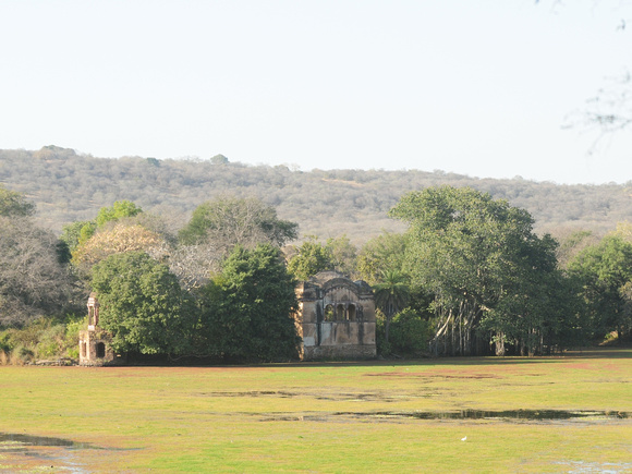 01: An abandoned Indian 11th century royal hunting lodge is the mid-day refuge for....